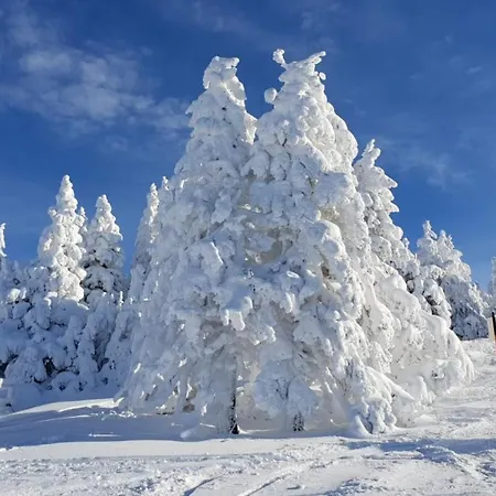 Andrea Apartment Mürzzuschlag