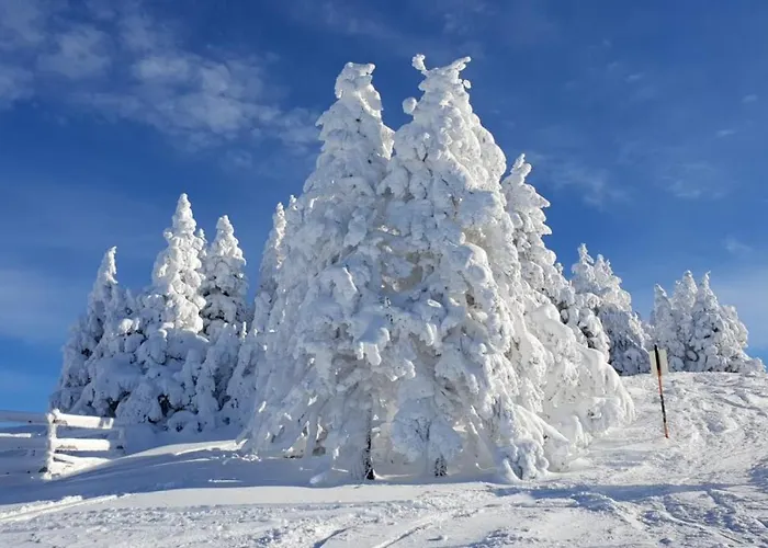 Andrea شقة Mürzzuschlag