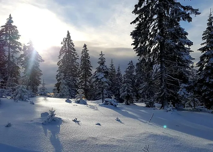 Andrea * Mürzzuschlag